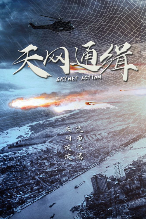 天网通缉