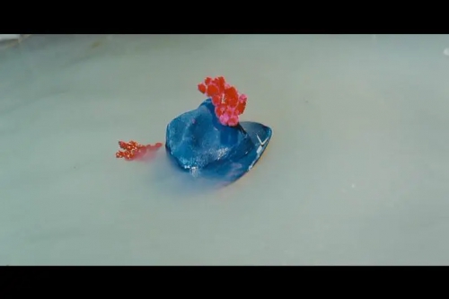 匹夫