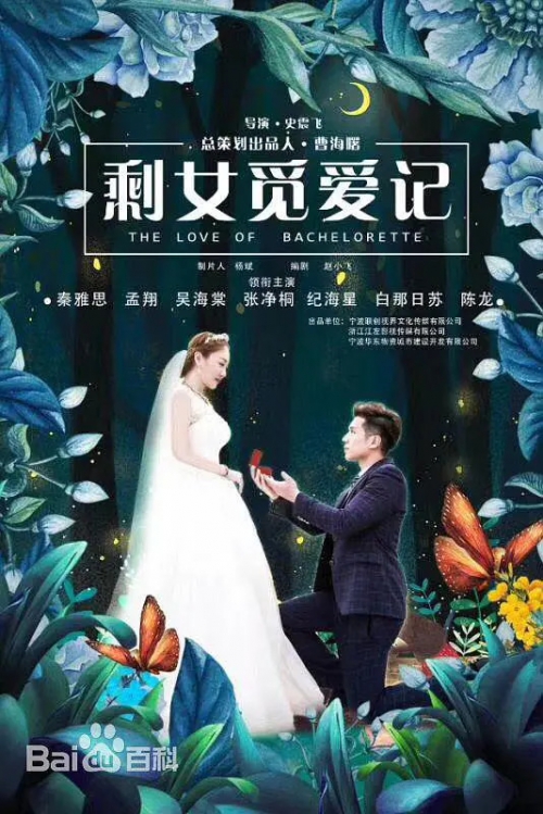 剩女觅爱记