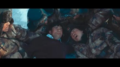 花儿为什么这样红