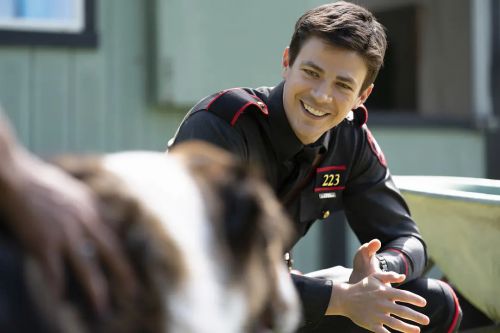 义犬救主
