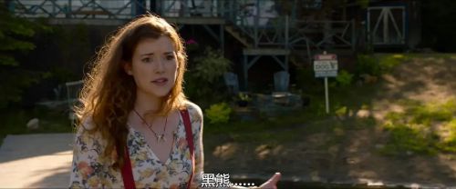 狼与狮子