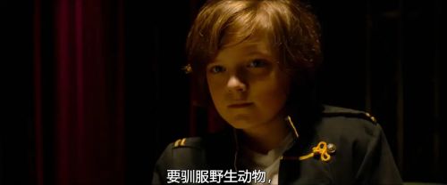 狼与狮子
