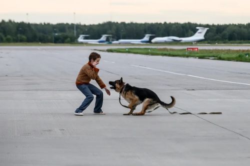 忠犬帕尔玛