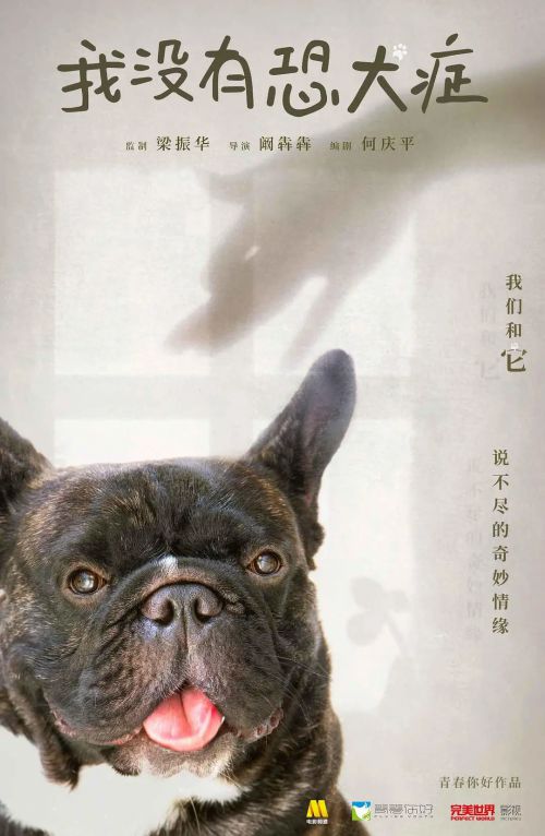 我没有恐犬症