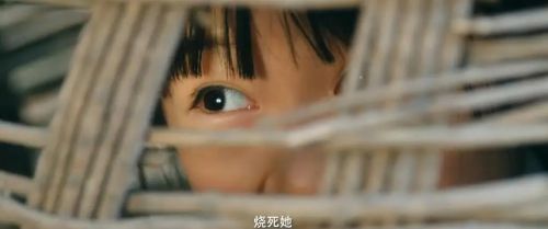 花千骨