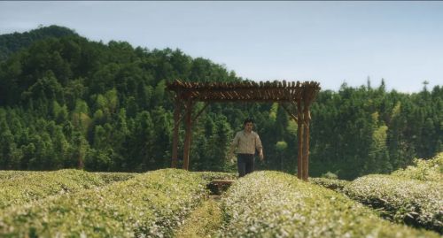 南方午后