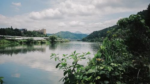 南方午后