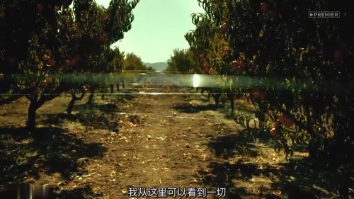 沙漠往事