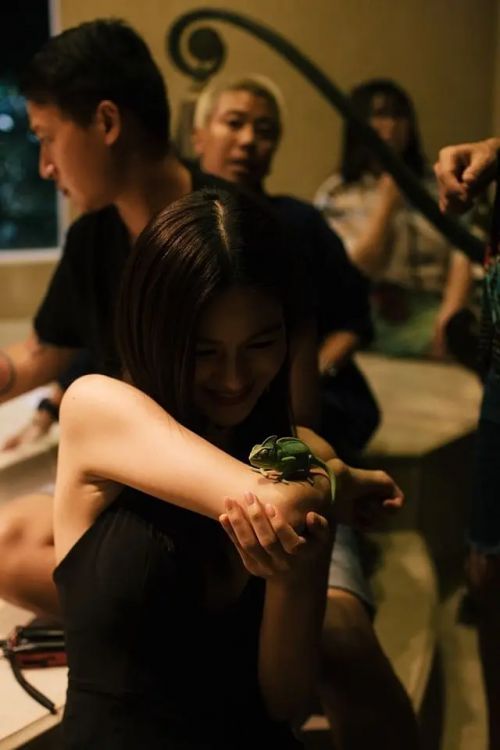 宝劈龙