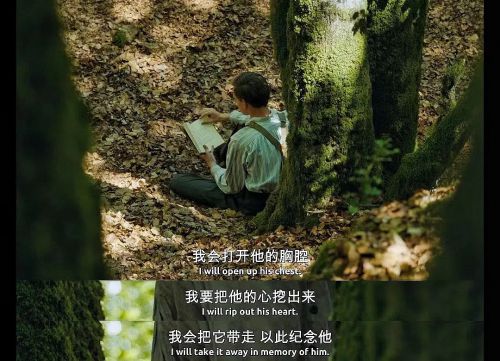 布鲁诺·里德尔，杀人犯的自白