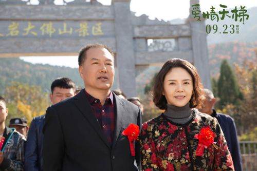 爱情天梯