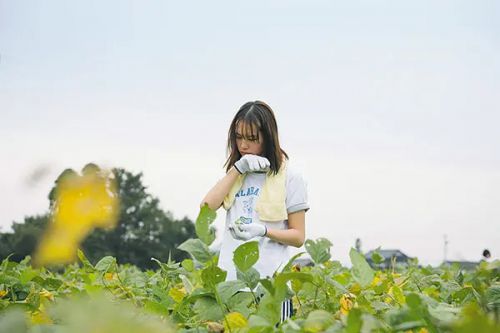 稻谷屋 もみの家