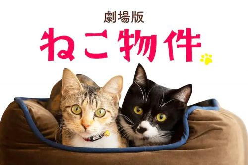 猫物件 电影版 劇場版 ねこ物件