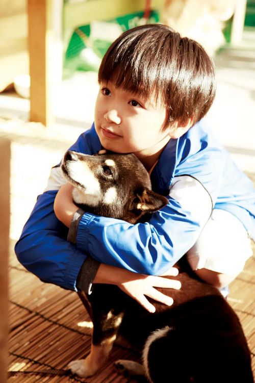 秋田犬蓬夫
