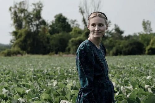 女人们的谈话