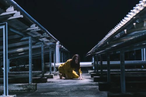 安妮的脸