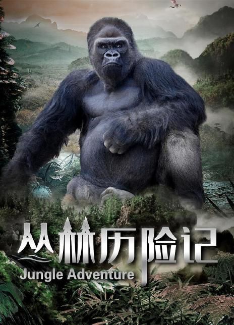 丛林历险记