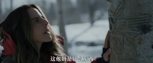 猎杀艾娃