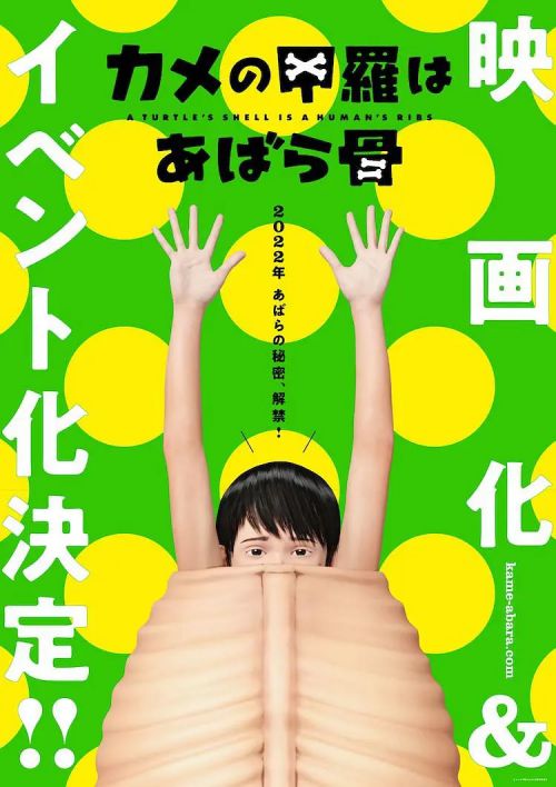 乌龟的壳其实是肋骨 カメの甲羅はあばら骨