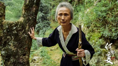 何物变