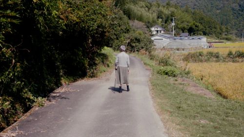 赤裸的梦