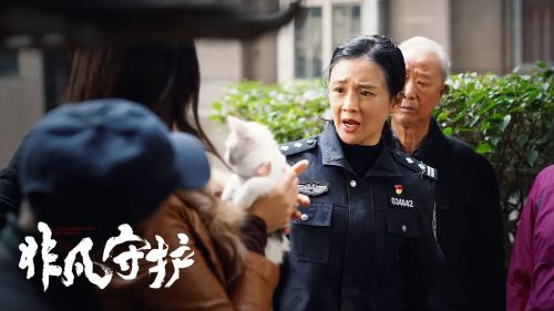 非凡守护