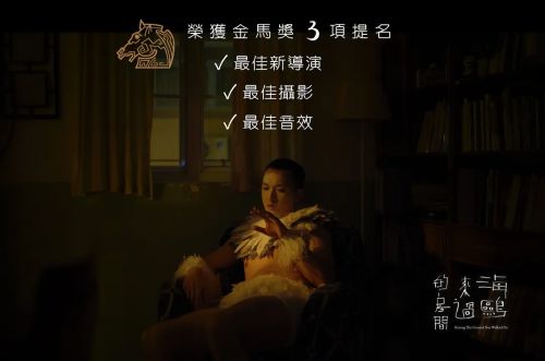 海鸥来过的房间