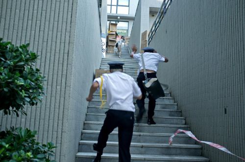 半岛行动