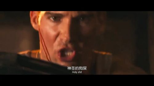 猎狼犬行动