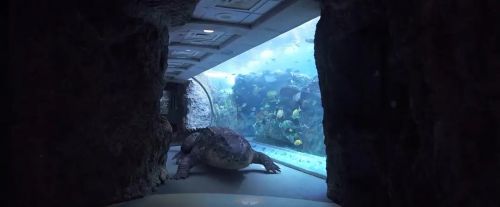 亡者之湿