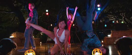 网聘女伴