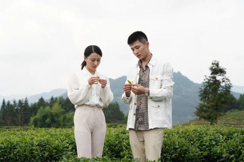 相见在鸾峰桥