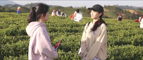 相见在鸾峰桥