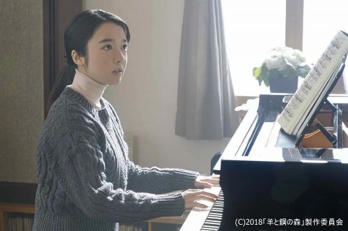 羊与钢的森林