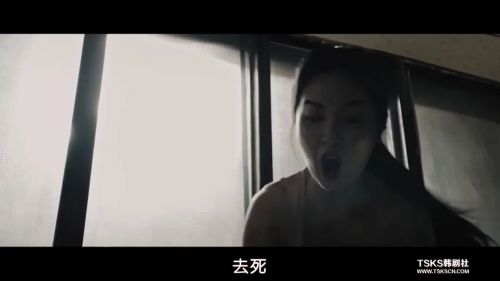 狗一般的东西