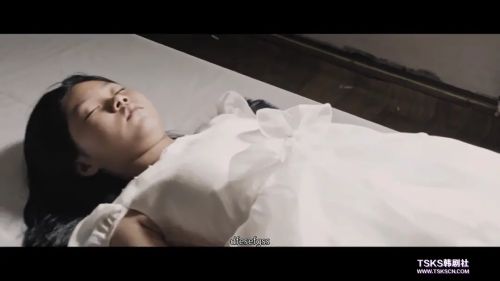 狗一般的东西