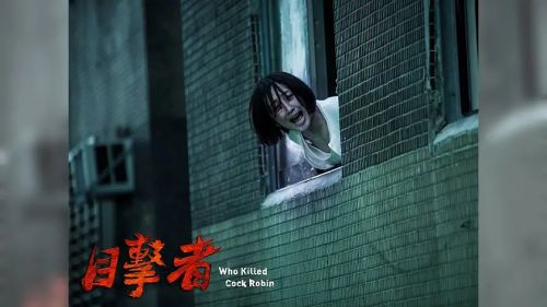 目击者之追凶