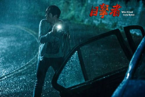 目击者之追凶