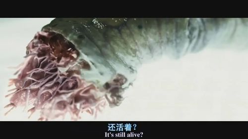 魔窟