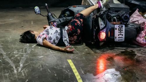 动物感伤的清晨