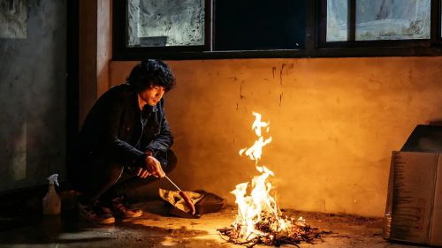 动物感伤的清晨