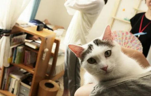 夜以继日