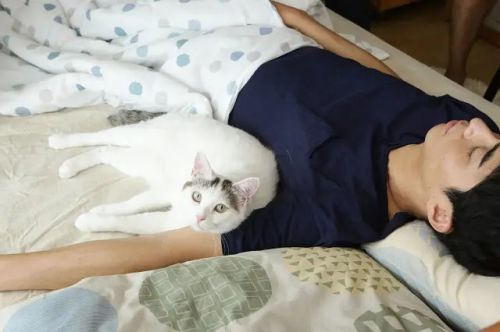 夜以继日