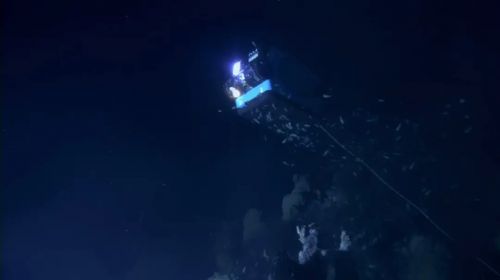 深海异形