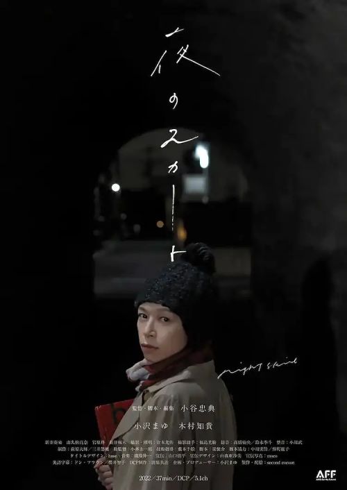 夜晚的裙子 夜のスカート