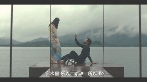 我亲爱的莫妮卡