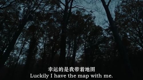 树在低语