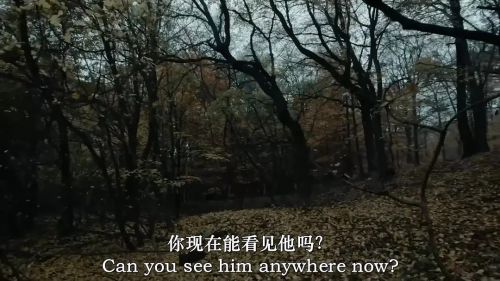 树在低语