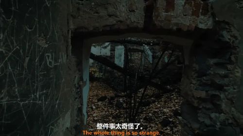 树在低语